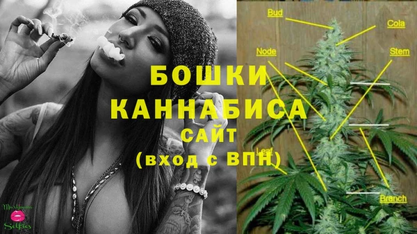 эйфоретик Чегем