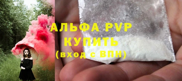 эйфоретик Чегем