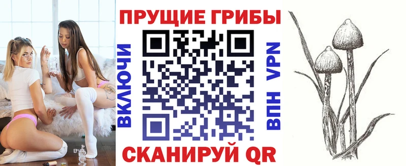 Купить где  Богородицк  Галлюциногенные грибы мицелий 